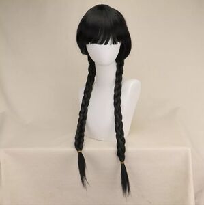 Elegant Black Braided Wig